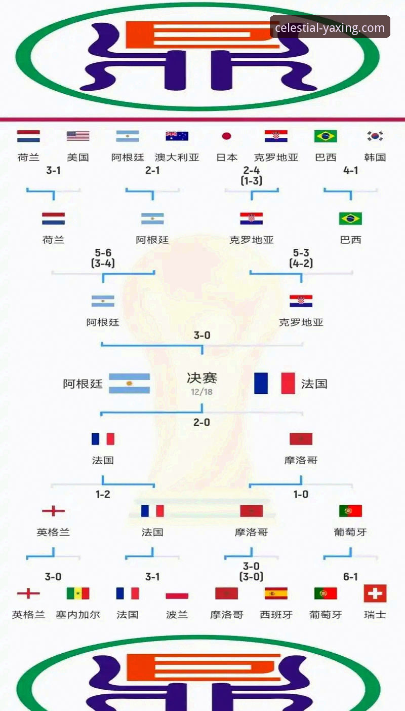 YAXING官网 阿根廷新星重伤无缘世界杯:对卫冕之路与战术体系的深度解析